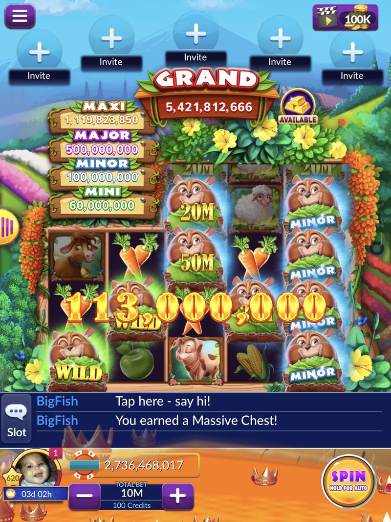 Discover wildrobin free spins